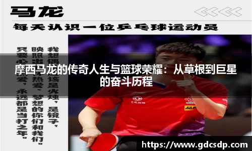 米兰体育官网