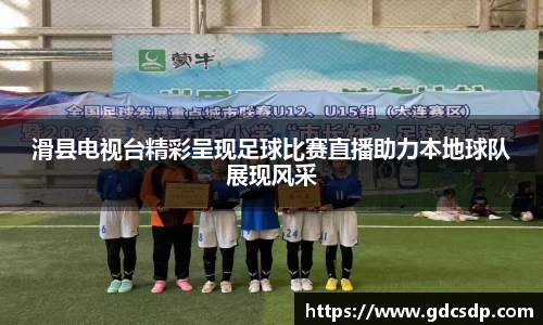 滑县电视台精彩呈现足球比赛直播助力本地球队展现风采