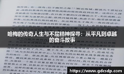 米兰体育平台