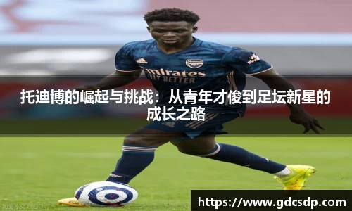 米兰体育平台