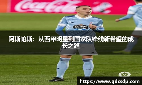 米兰体育平台