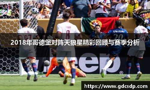 2018年哥德堡对阵天狼星精彩回顾与赛季分析